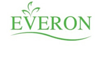 Dịch vụ SEO thông minh cho công ty Everon